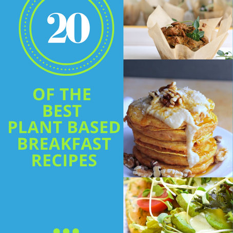 20 Of The Best Plant Based Breakfast Recipes