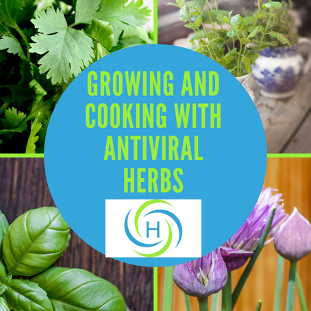 Expert Advice On Easy AntiViral Herbs To Grow