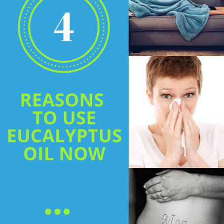4 Reasons Why You Need Eucalyptus Oil Right Now